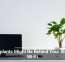 Houseplants Might Be Behind Your Sluggish Wi-Fi